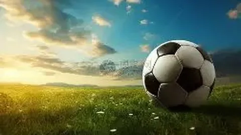 辽篮12月报价哈雷尔，观赛后取消报价