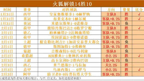 大乐透期号专家推荐：汉堡主场质合分析稳中求胜